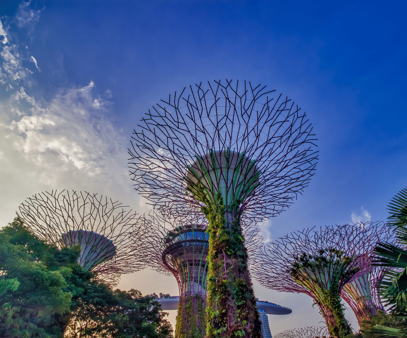 Gardens by the Bay: Included in Customized Singapore tour