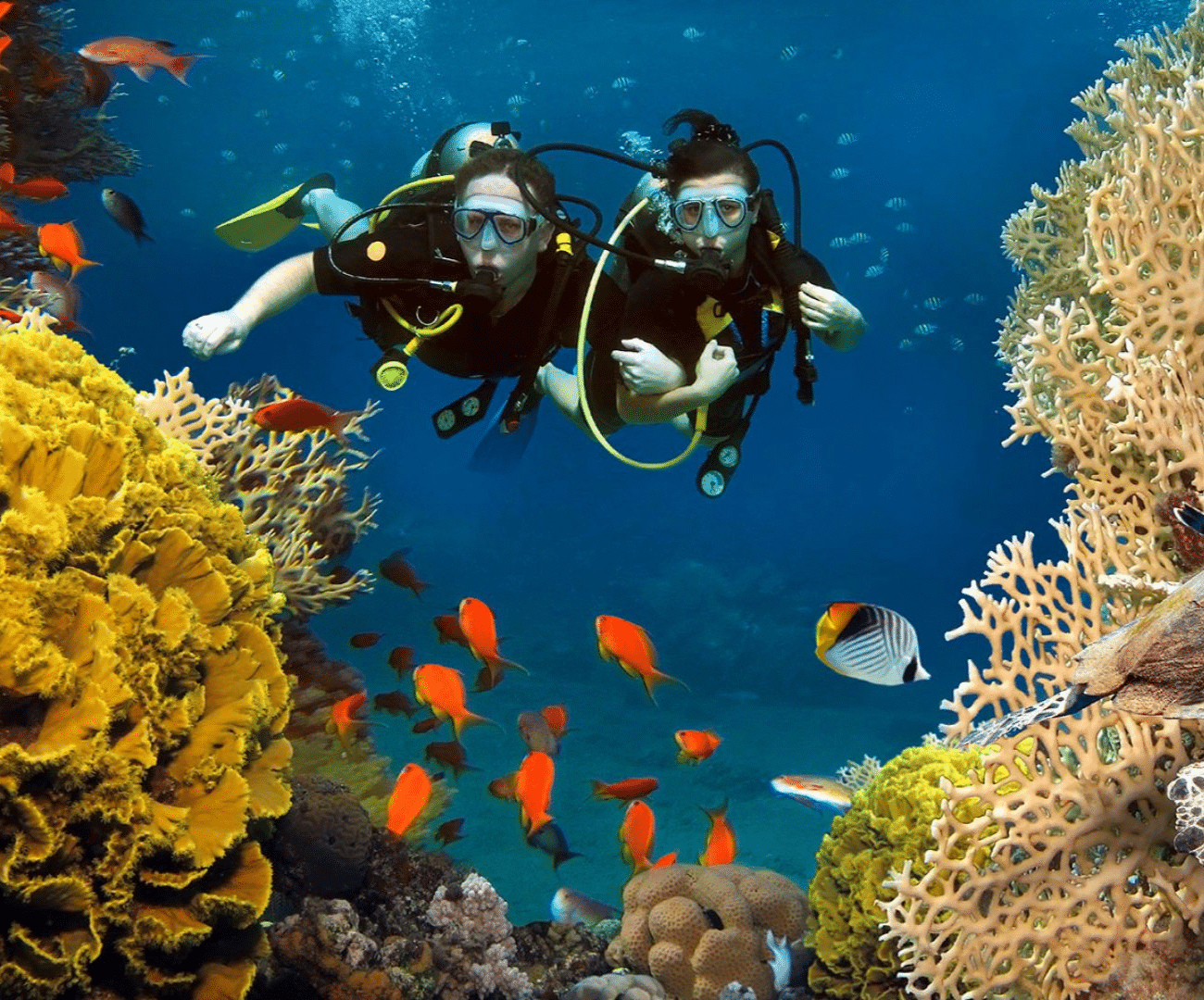 Scuba diving included in our maldives tour package