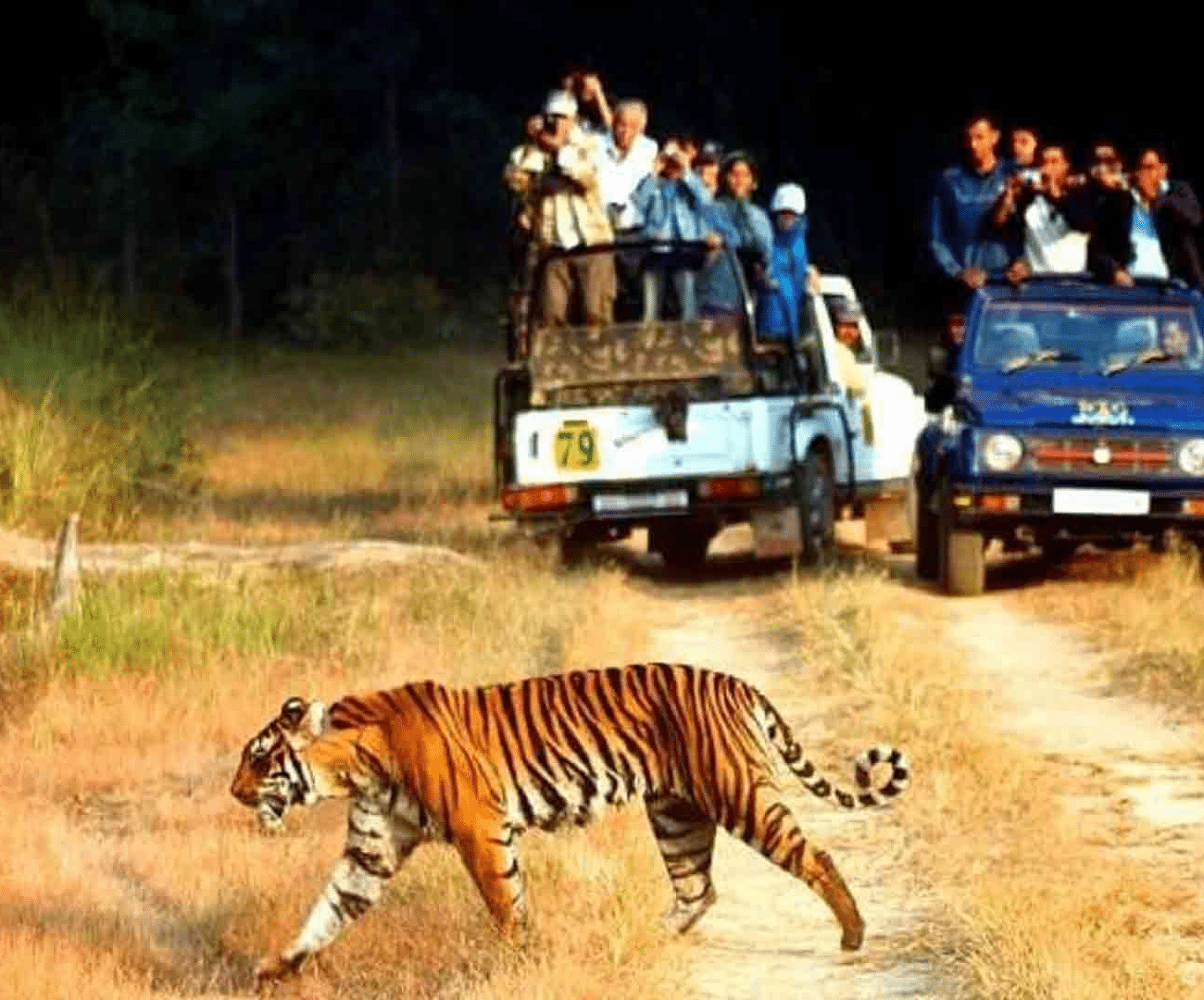 Wildlife safari included in uttarakhand tour package
