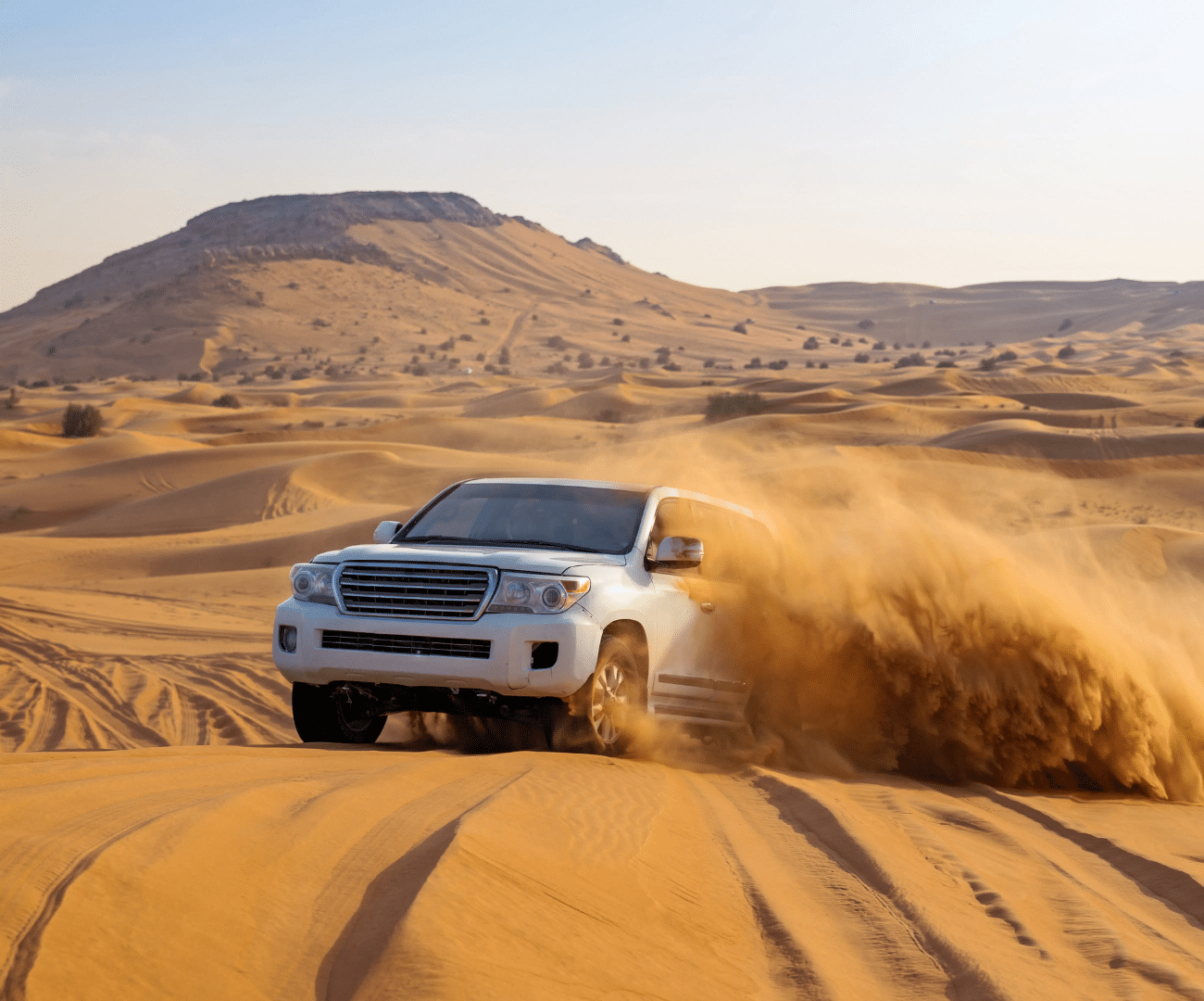 Dune Bashing in Dubai tour