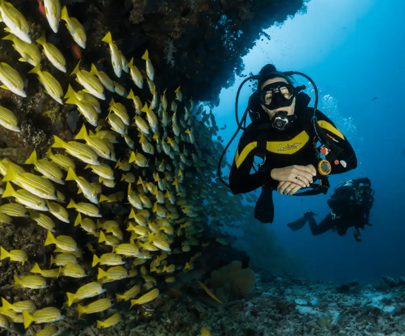 Scuba Diving with our Andaman tour Package