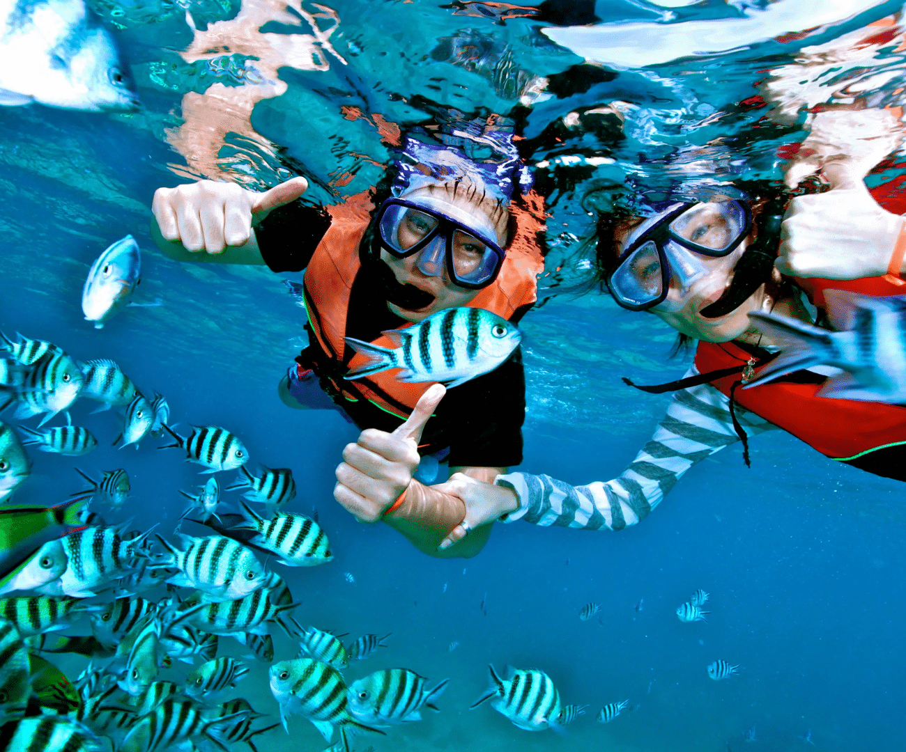 Snorkeling: Andaman tour package