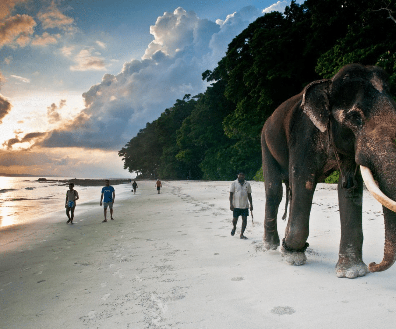 Elephant Beach: Andaman tour package