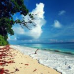 Andaman Island Tour Packages