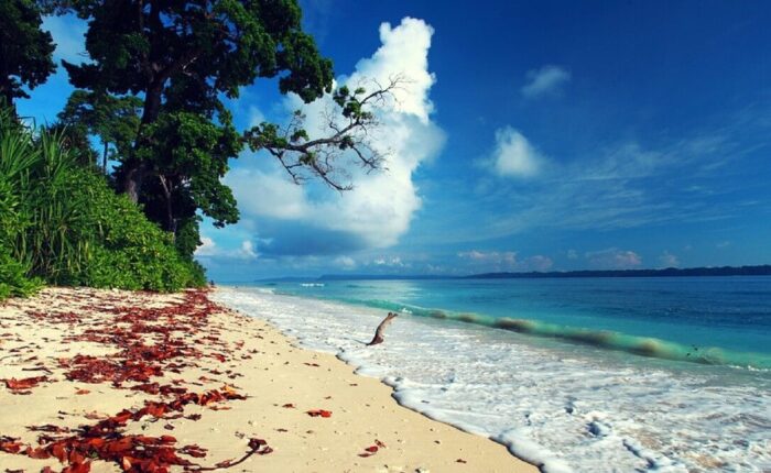Andaman Island Tour Packages