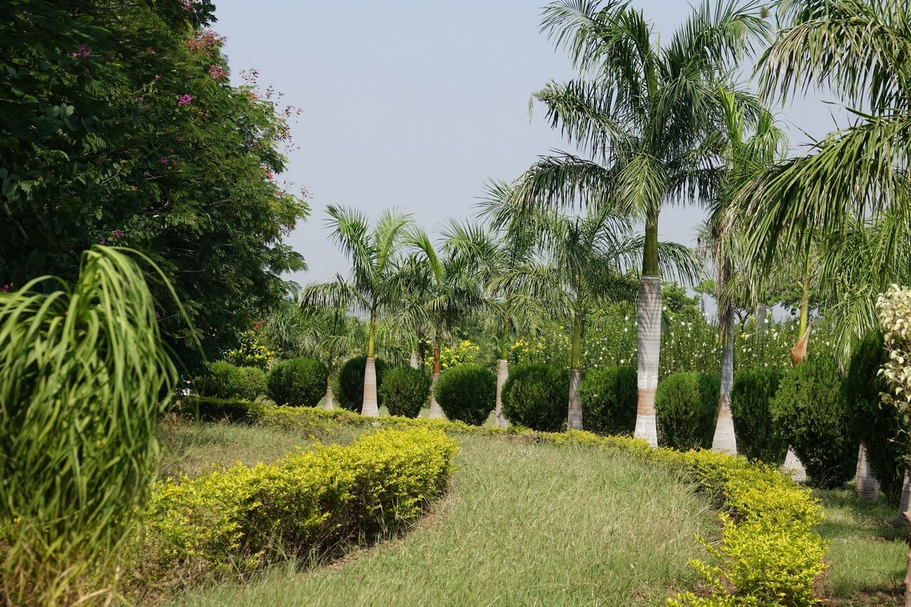 Bang Kachao