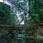 Cherrapunjee-The Land of Living Root Bridges and Waterfalls-Banner