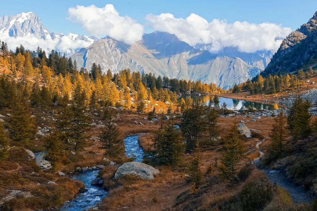 Srinagar Travel Guide