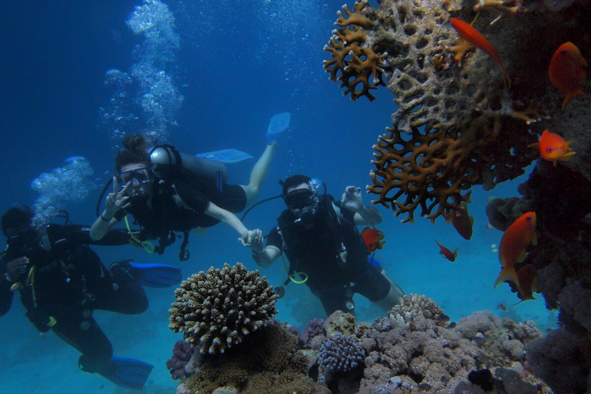 Havelock Island - Elephant Beach-Scuba Diving