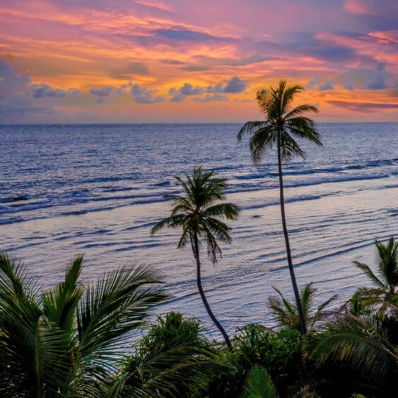 Goa Beach Tour