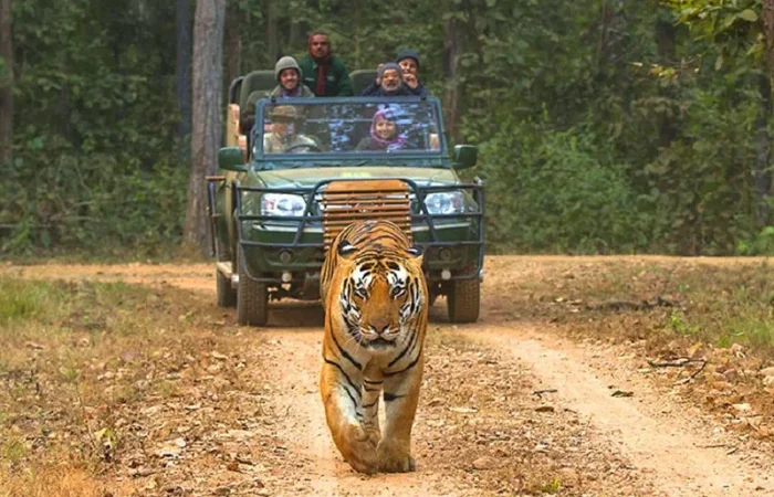 Kanha National Park