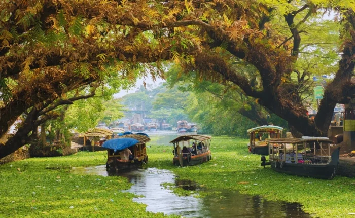 Kerala Honeymoon Packages