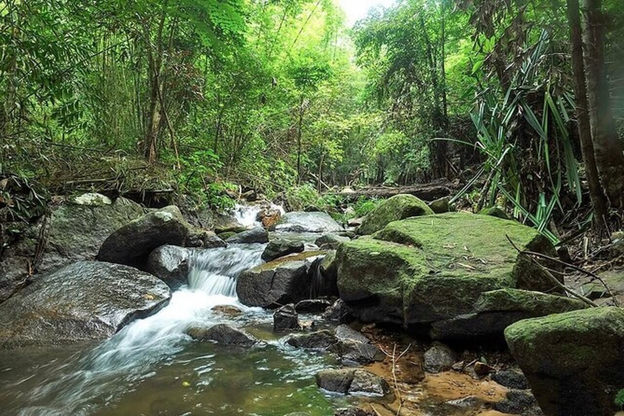 Phuket Travel Guide: Best Beaches, Activities & Nightlife