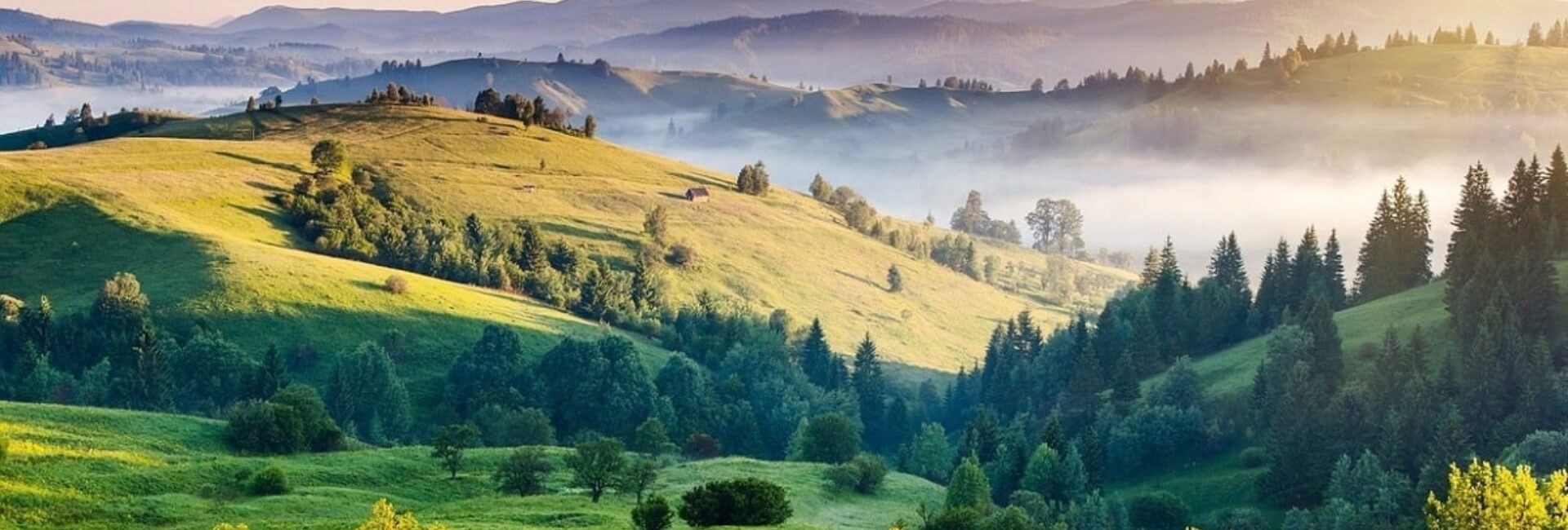 Madurai & Kodaikanal Escape-tamilnadu-banner