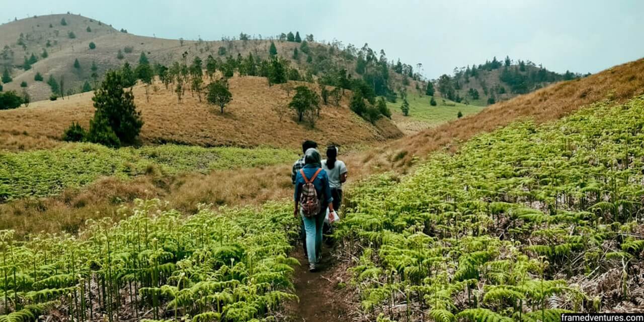 Meesapulimala trek