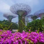 Gardens by the Bay - Singapore Tour Packages
