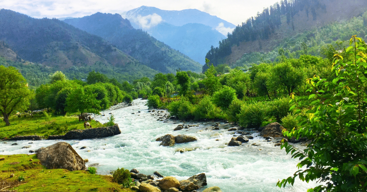 Pahalgam's Valleys in Winter wonderland