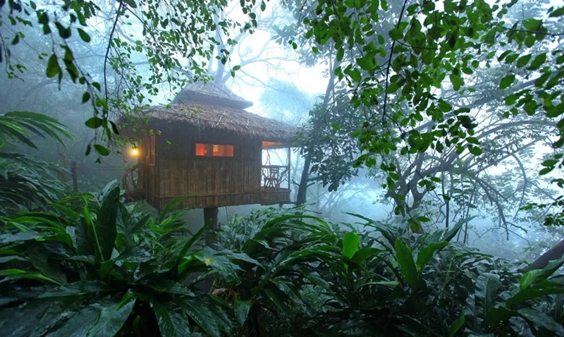 Wayanad - Honeymoon Tour Packages