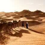 Desert Safari in Dubai