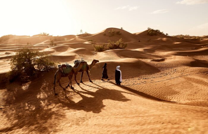 Desert Safari in Dubai
