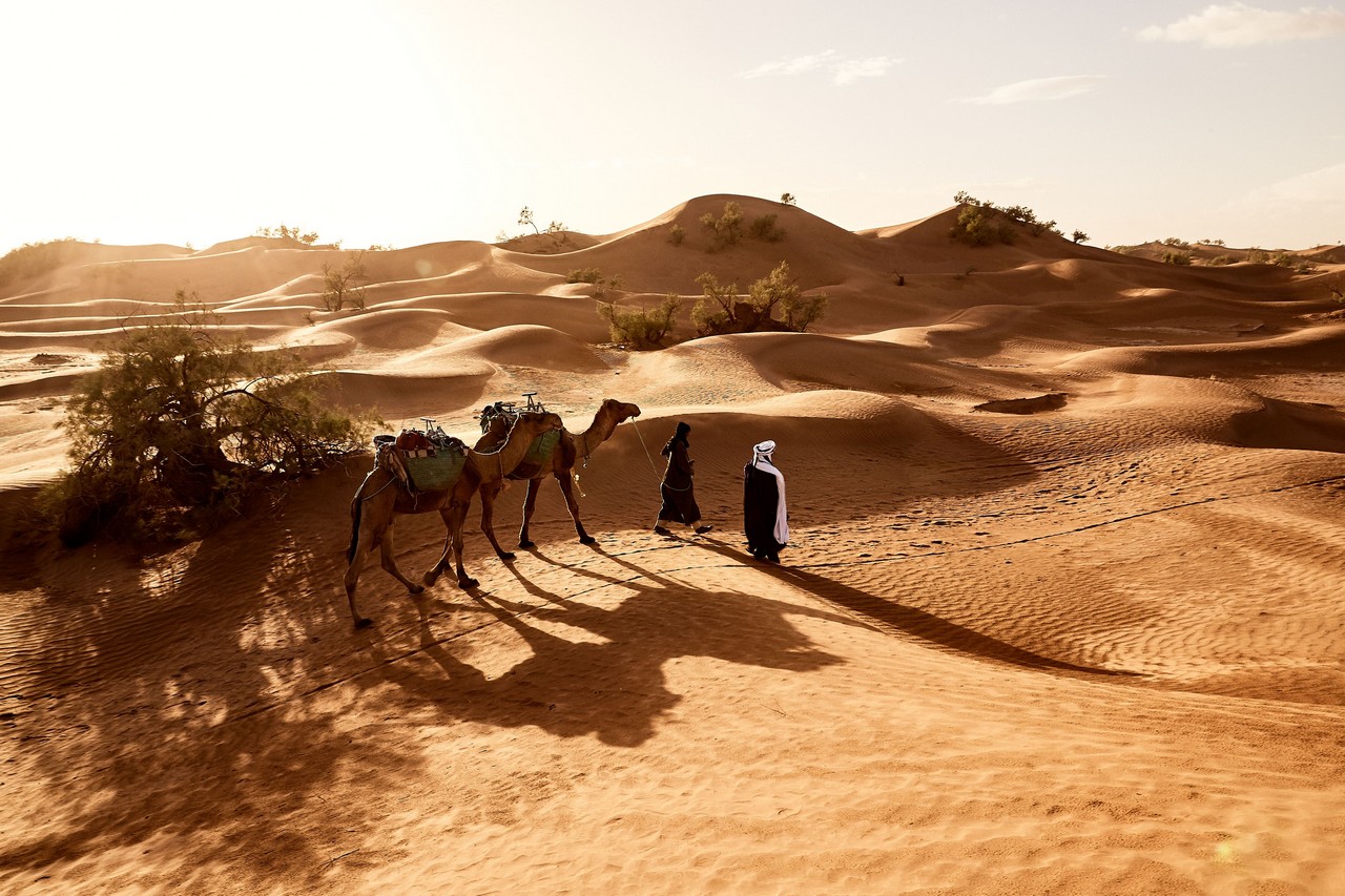 beautiful-shot-people-walking-with-their-camels-desert-erg-lihoudi-morocco Desert Safari in Dubai