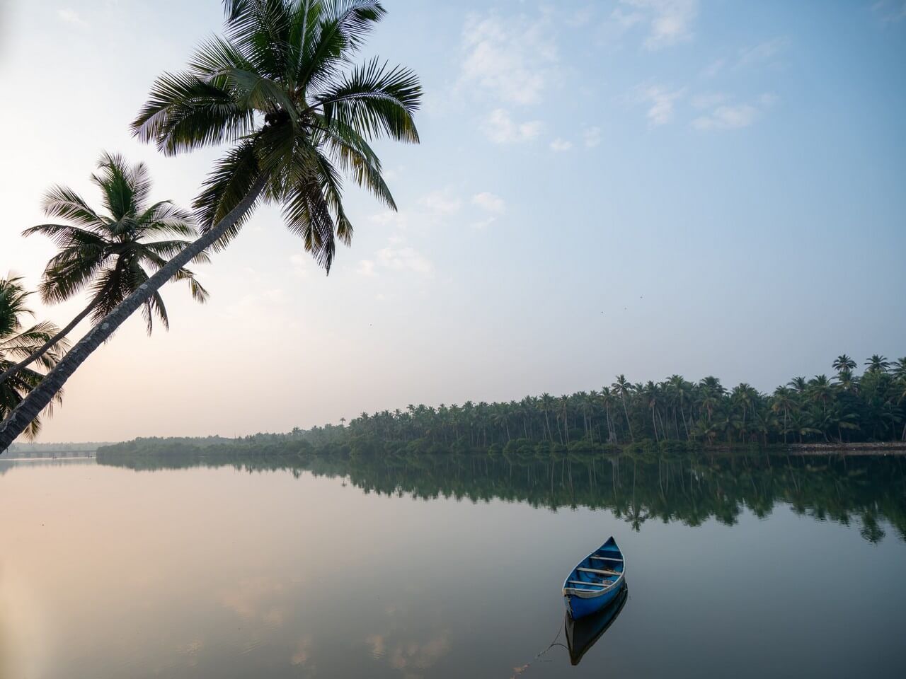 peaceful-morning-view-boat-river-coconut-palm-trees-Kerala Backwaters Travel Guide