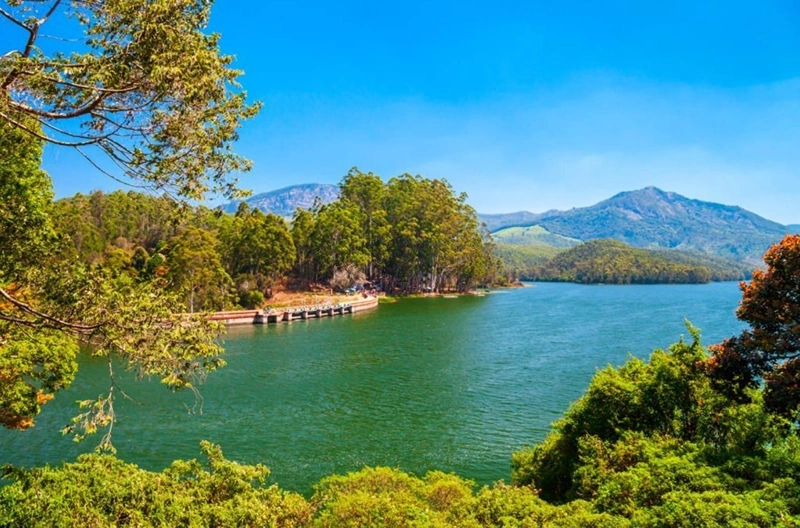 Mattupetty Dam - Lake
