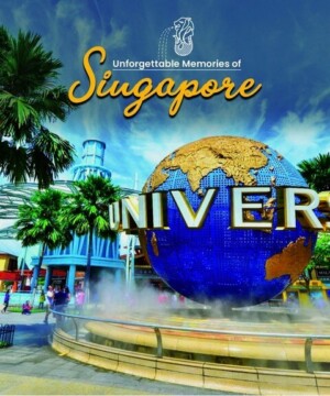 Home New 11 Singapore tour package